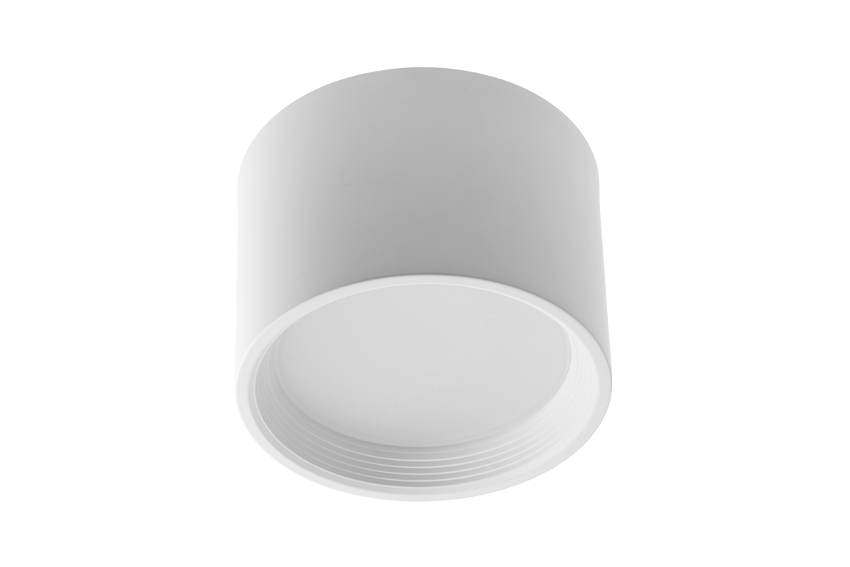 Ceiling fixture (surface mounted)